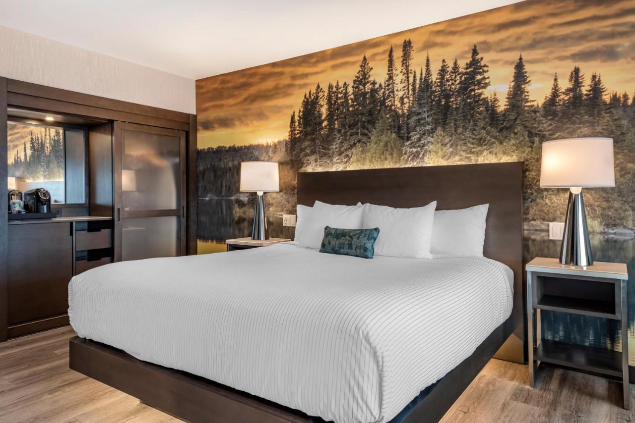 Cambria Hotel Shelby Township - Detroit Utica Shelby Twp Zewnętrze zdjęcie