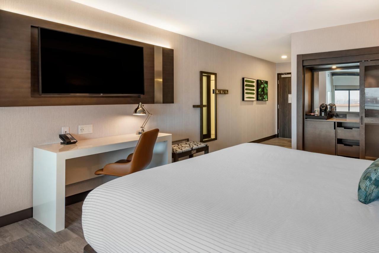 Cambria Hotel Shelby Township - Detroit Utica Shelby Twp Zewnętrze zdjęcie