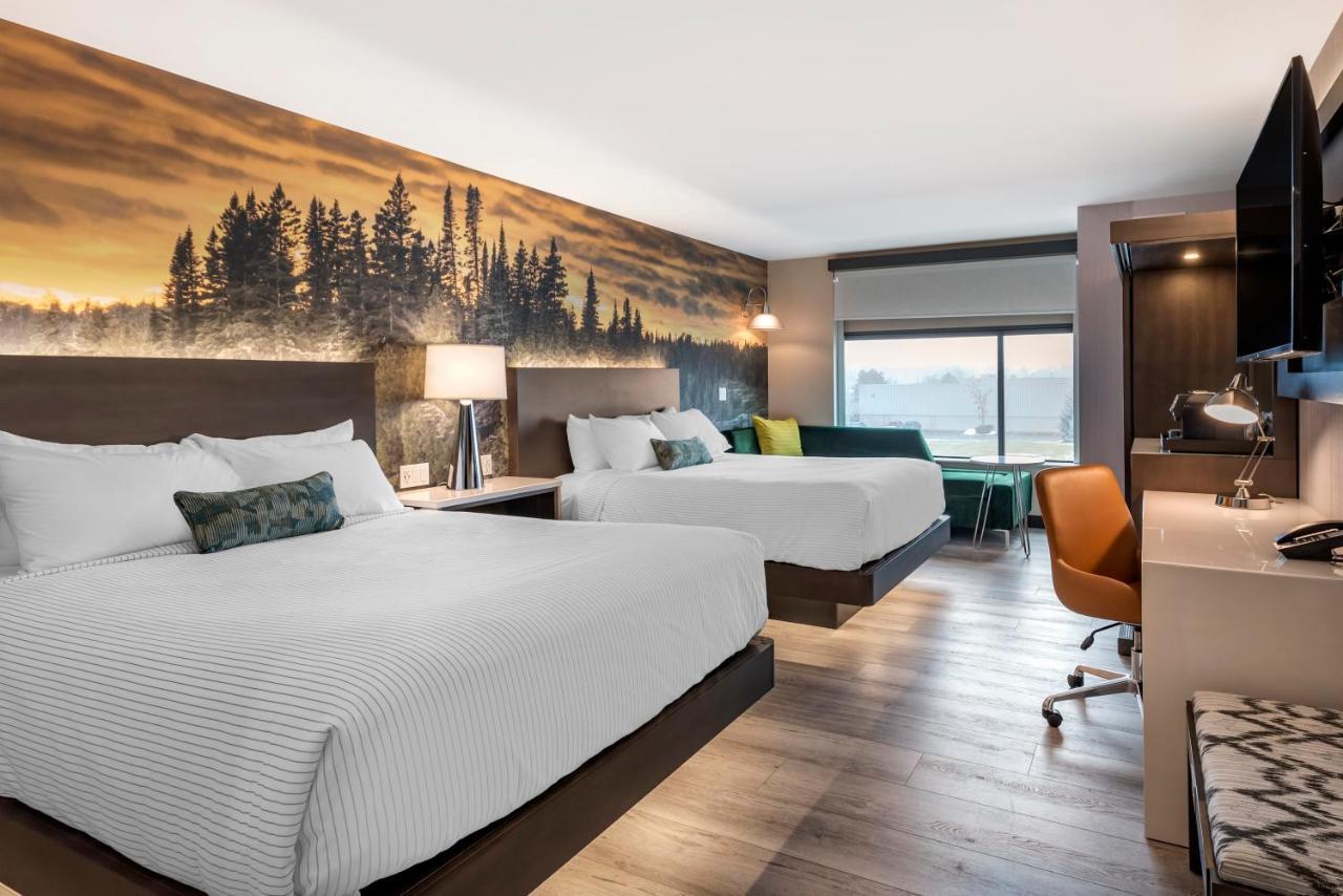 Cambria Hotel Shelby Township - Detroit Utica Shelby Twp Zewnętrze zdjęcie