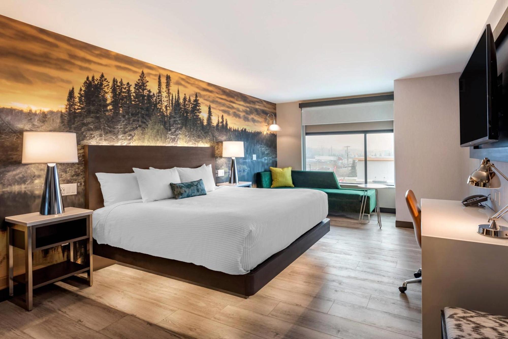 Cambria Hotel Shelby Township - Detroit Utica Shelby Twp Zewnętrze zdjęcie