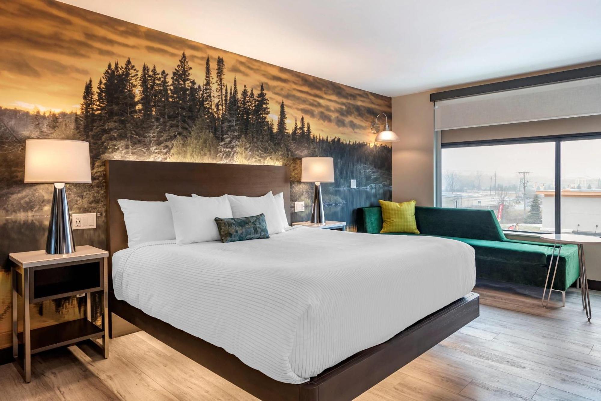 Cambria Hotel Shelby Township - Detroit Utica Shelby Twp Zewnętrze zdjęcie